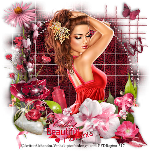 Regina Beautiful Mo…