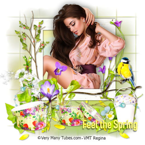 Regina Feel the Spr…